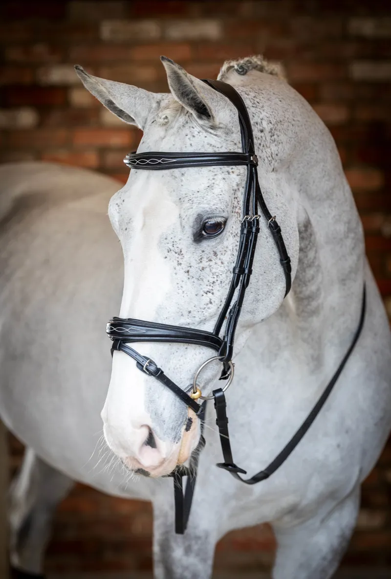 LeMieux Competition Flash Bridle in Black